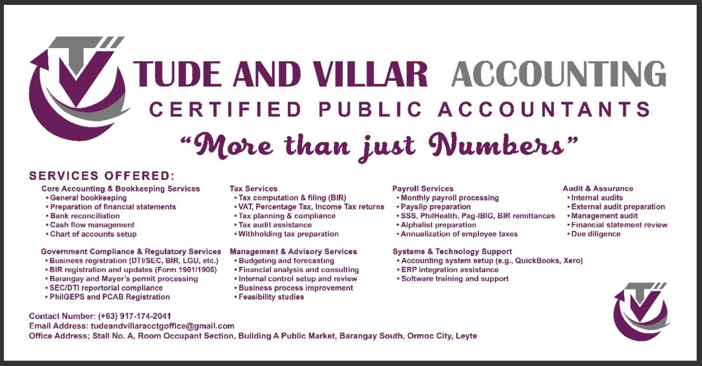 Tude & Villar — Professional Accounting Firm